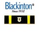 Blackinton® Taser® Certification Award Commendation Bar